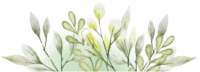 North of the Wall Soaps